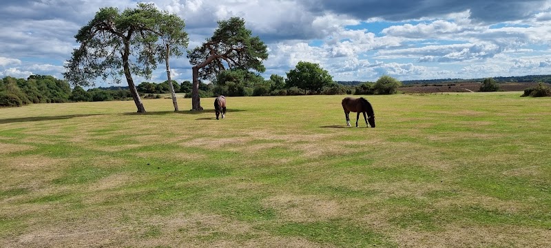 Burley Golf Club