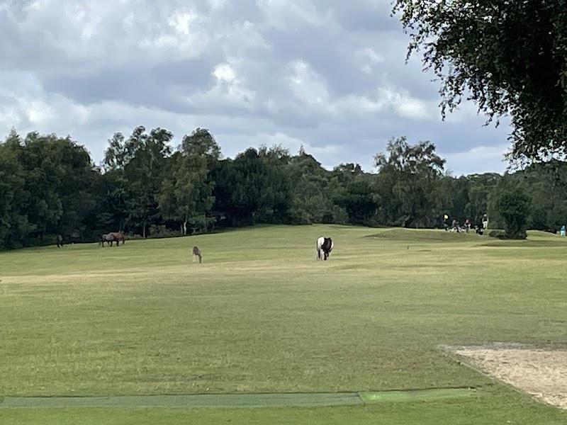 New Forest Golf Club