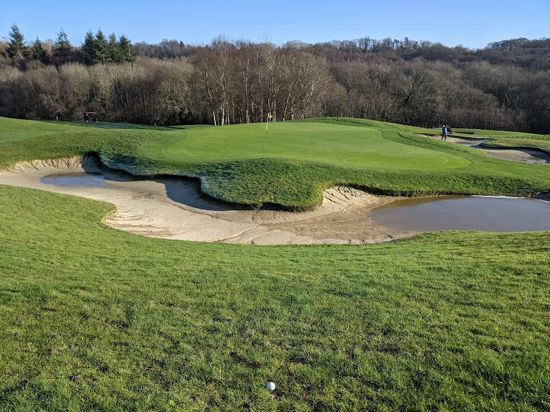 Dale Hill Hotel and Golf Club