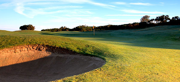 Cardigan Golf Club