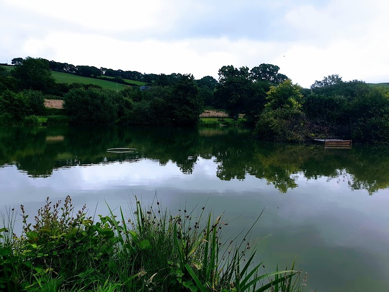 Capel Bangor Golf Club